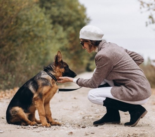 Service Dog Training
