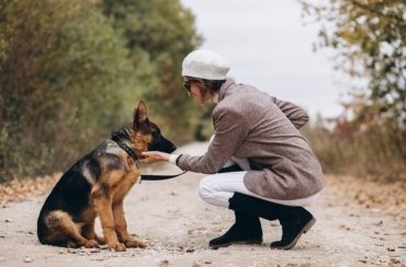 Service dog training