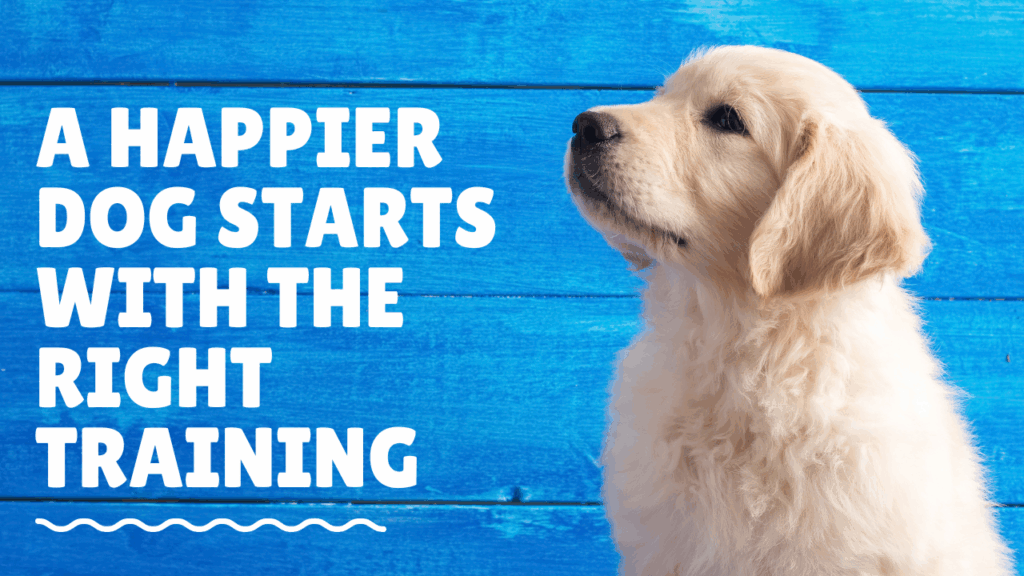 A Happier Dog Starts with the Right Training