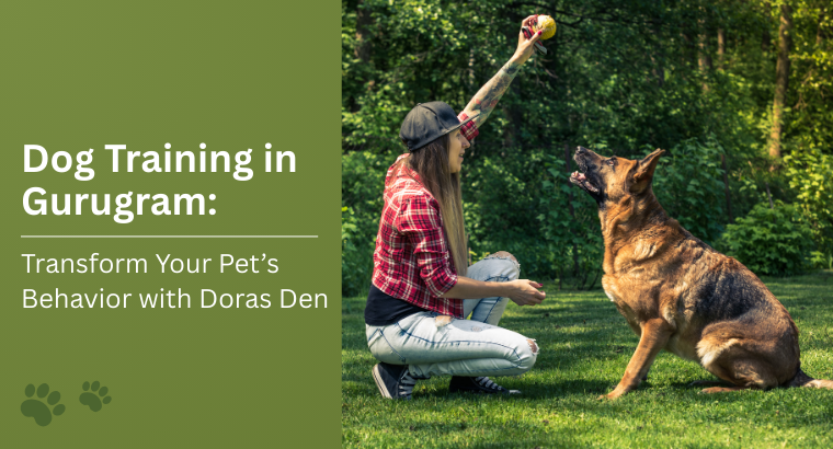 Dog Training in Gurugram: Transform Your Pet’s Behavior with Doras Den